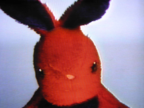 <p>Nayland Blake. <i>Negative Bunny</i> [video still]. 1994. VHS video tape; Duration: 30 minutes. Henry Art Gallery, gift from the Collection of Steven Johnson and Walter Sudol, 2007.69. Copyright Nayland Blake, Courtesy Matthew Marks Gallery.</p>
