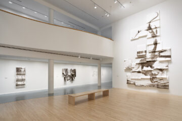 <p><em>Lucy Kim:</em> <em>Mutant Optics</em> [Installation view, Henry Art Gallery, University of Washington, Seattle. 2024]. Photo: Jueqian Fang.</p>
